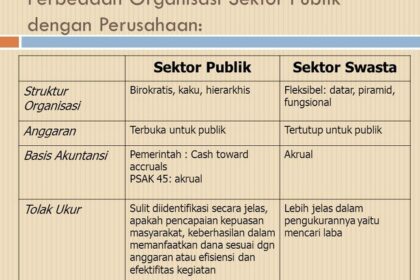 Pengaruh Dari Organisasi Organisasi Swasta Dan Pemerintah