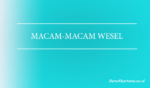 Macam-Macam Wesel