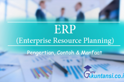 Erp (Enterprise Resource Planning)