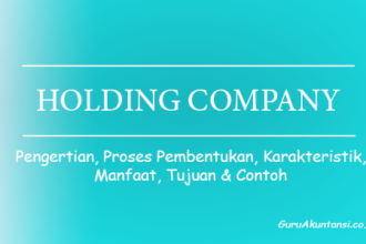 Pengertian Holding Company