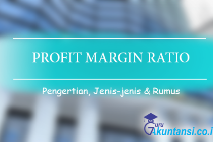 Profit Margin Ratio