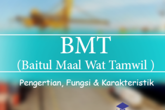 Baitul Maal Wat Tamwil (Bmt) 