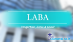 Pengertian Laba