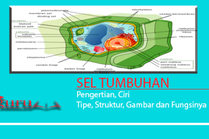 Sel Tumbuhan Pengertian