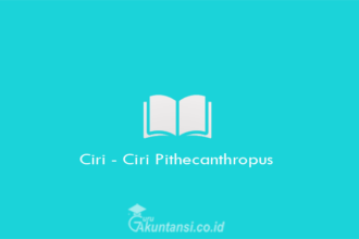 Ciri-Ciri-Pithecanthropus