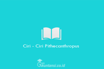 Ciri-Ciri-Pithecanthropus