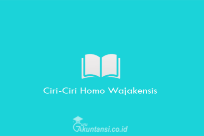 Ciri-Ciri-Homo-Wajakensis