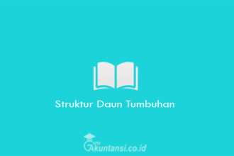 Struktur-Daun-Tumbuhan