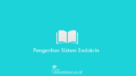 Pengertian-Sistem-Endokrin