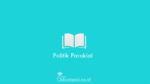 Politik-Parokial