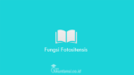 Fungsi-Fotositensis