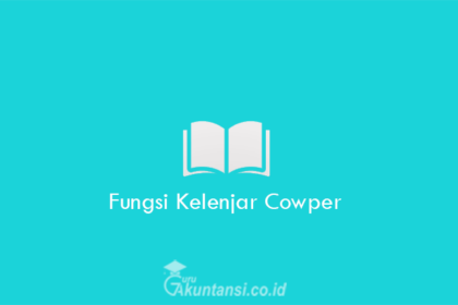 Fungsi-Kelenjar-Cowper