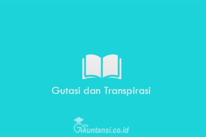 Gutasi-Dan-Transpirasi