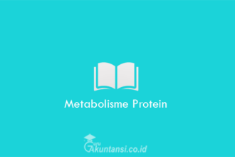 Metabolisme-Protein