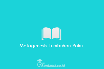 Metagenesis-Tumbuhan-Paku