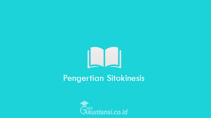 Pengertian-Sitokinesis