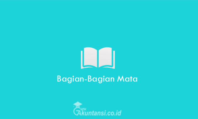 Bagian-Bagian-Mata