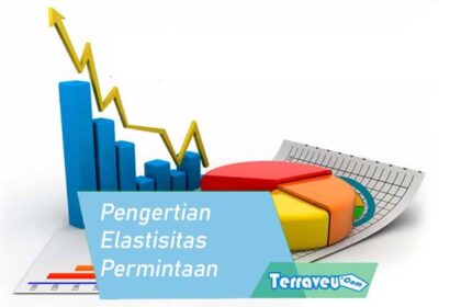 Pengertian Elastisitas Permintaan