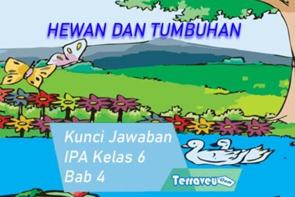 Kunci Jawaban Ipa Kelas 6 Sd Bab 4