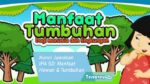 Kunci Jawaban Ipa Sd Manfaat Hewan &Amp; Tumbuhan Bagi Kehidupan