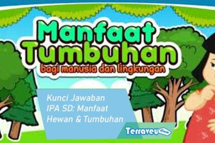 Kunci Jawaban Ipa Sd Manfaat Hewan &Amp; Tumbuhan Bagi Kehidupan