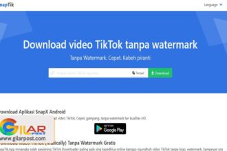 Pengunduh Tiktok Tanpa Watermark