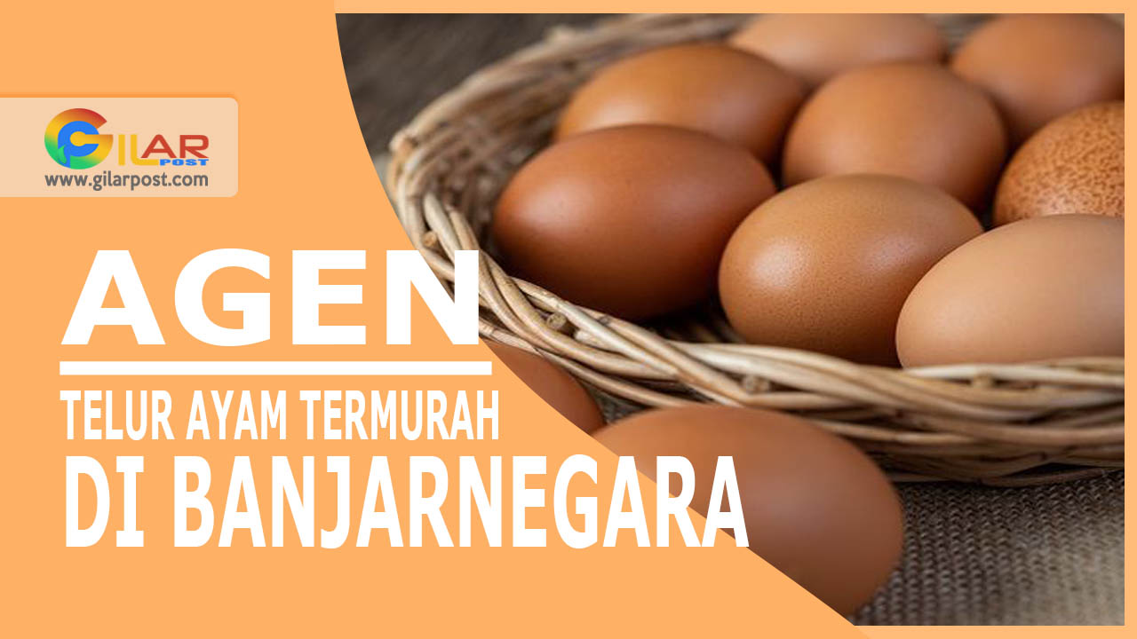 Telur Ayam Termurah Di Banjarnegara