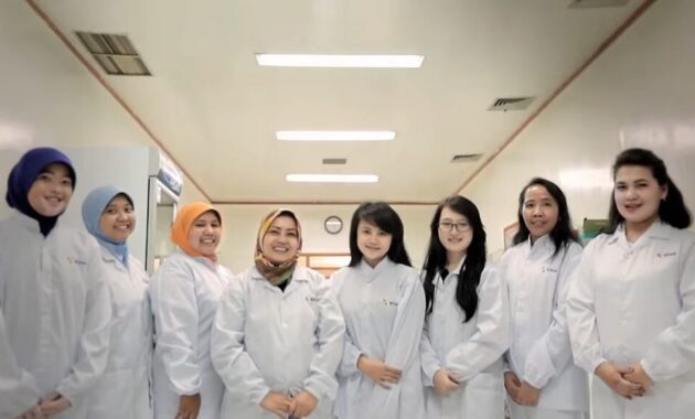 Berapa Gaji Karyawan Pt Kino Indonesia? 3 Gaji Pt Kino Indonesia 3