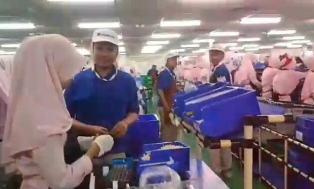 Berapa Gaji Karyawan Pt Kiyokuni Cikarang? 2 Gaji Pt Kiyokuni Cikarang 2