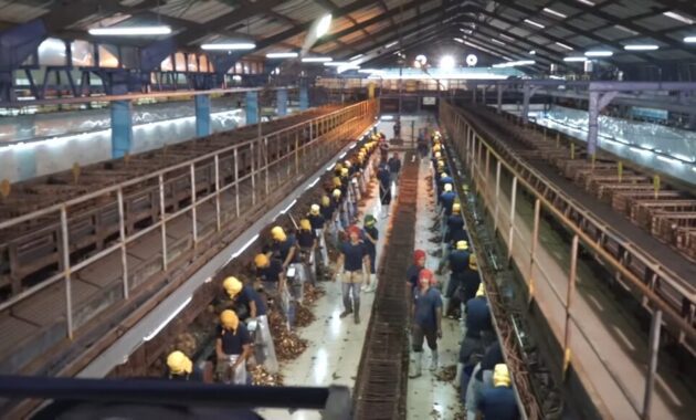 Berapa Gaji Karyawan Pt Pulau Sambu Guntung? 2 Gaji Pt Pulau Sambu Guntung 2