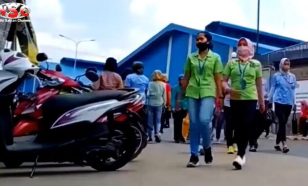 Berapa Gaji Karyawan Pt Hwa Seung Indonesia? 3 Gaji Karyawan Pt Hwa Seung Indonesia 3